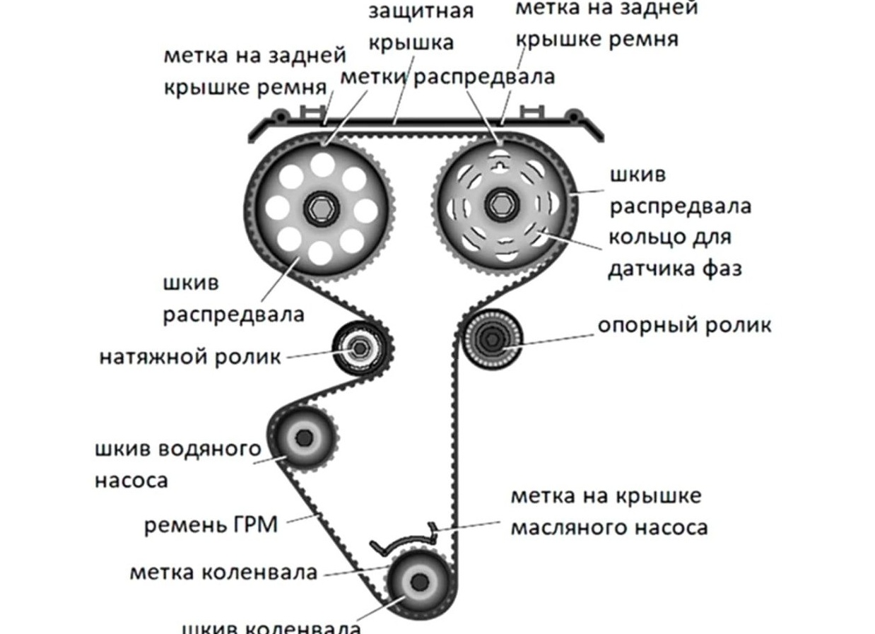 Ремень ГРМ: зачем он нужен, сколько стоит замена и как провести её самому